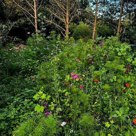 Architect-designed House By Gudmindrup