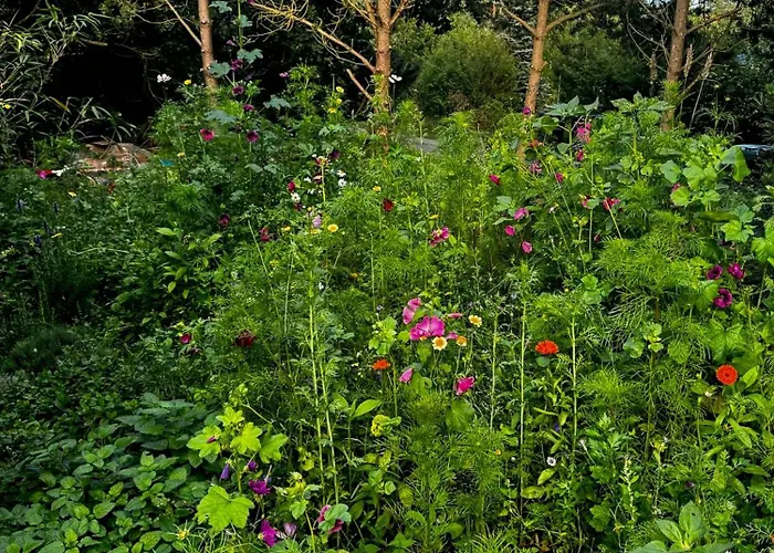 Casa vacanze Architect-designed House By Gudmindrup Højby